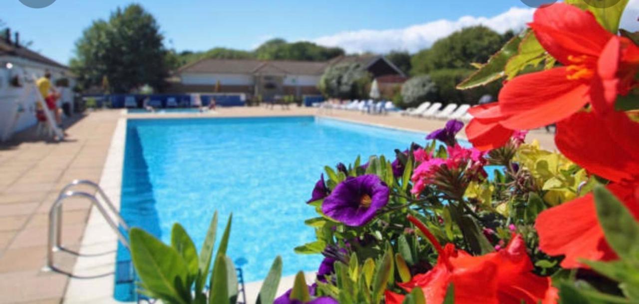 Jungle Lodge Lymington Εξωτερικό φωτογραφία