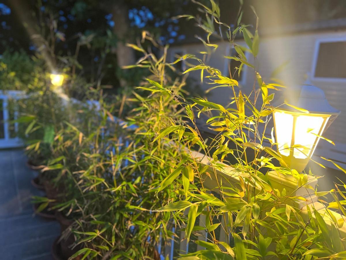 Jungle Lodge Lymington Εξωτερικό φωτογραφία