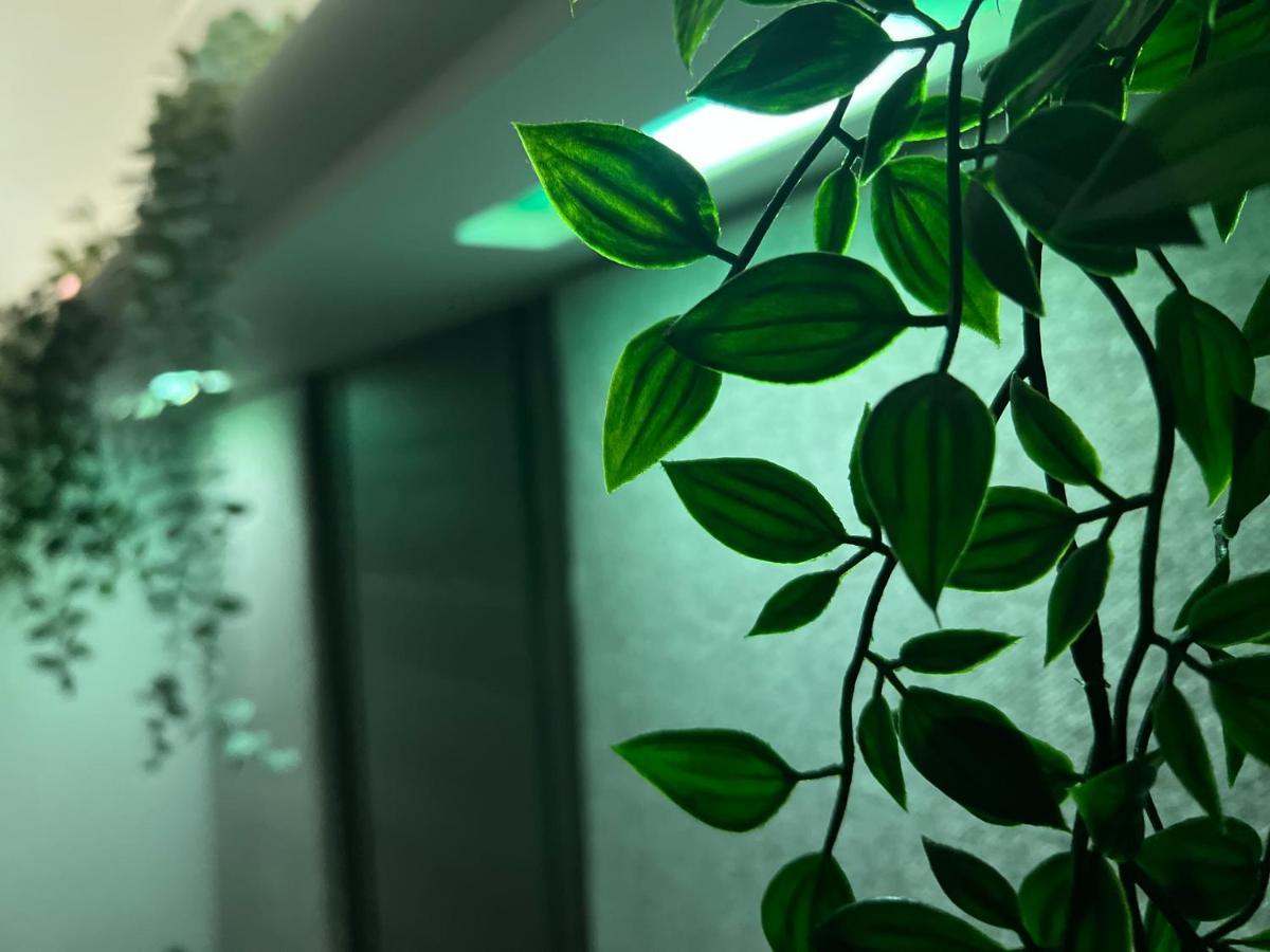 Jungle Lodge Lymington Εξωτερικό φωτογραφία